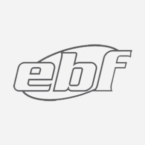 Logo-LOGCARGAS-EBF