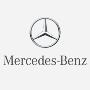 Logo-LOGCARGAS-Mercedez